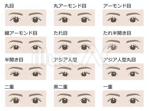 眼型種類|目の形の種類一覧！自分の目の形が分からない人向けの確認方法も